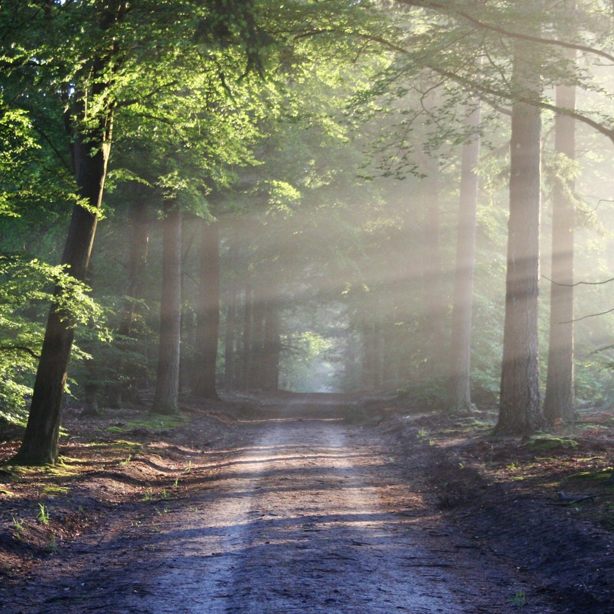 Mindfulness – co to i o co&nbsp;chodzi?