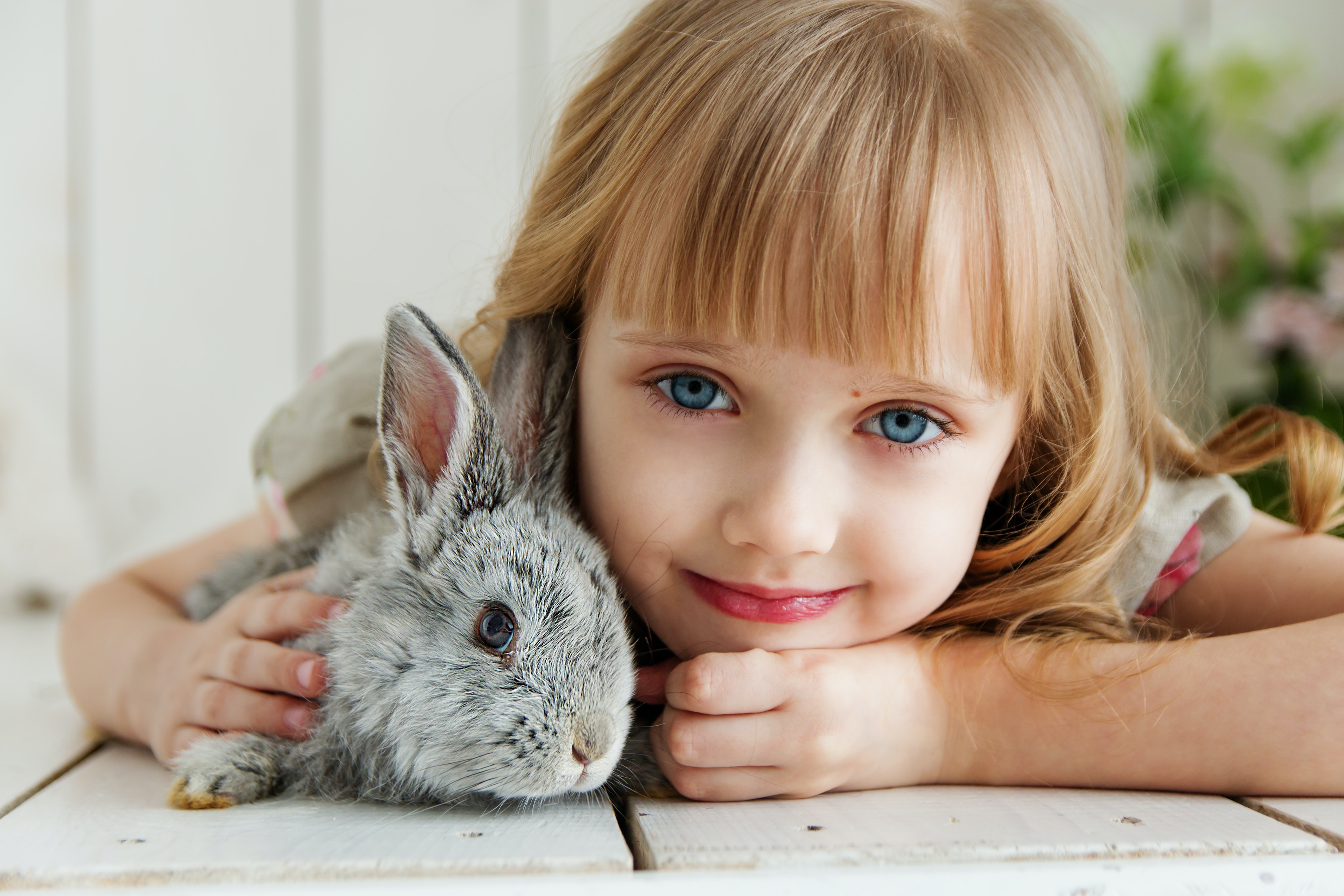 girl-lying-on-white-surface-petting-gray-rabbit-1462634